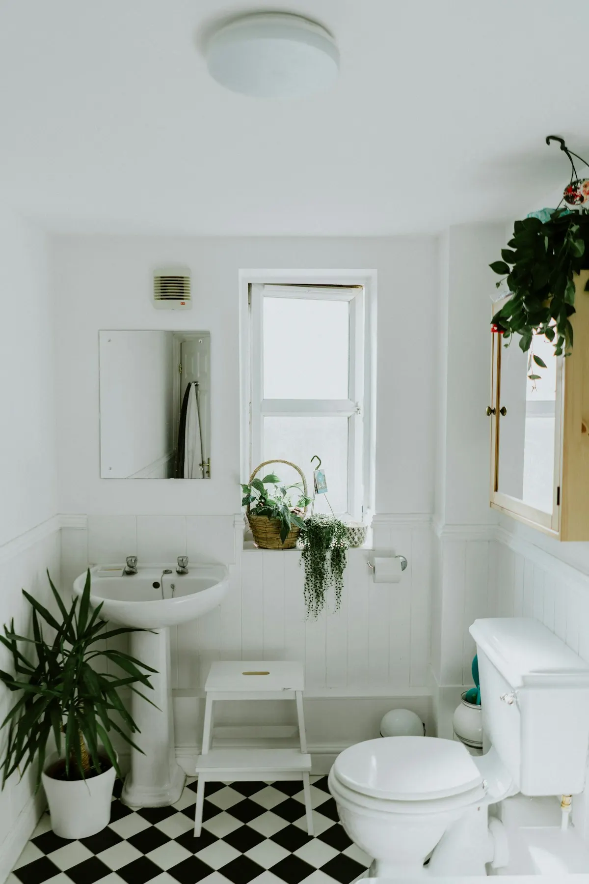 Small white bathroom with a pedestal basin